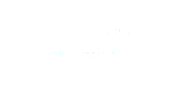 logoVelocity