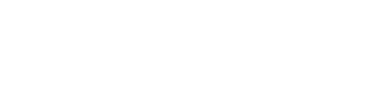 DSI